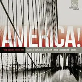  America! Vol.3-Modern To Pop Art | Sonstiges |  Sack Fachmedien