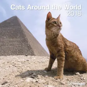 teNeues |  Cats Around the World 2018 | Sonstiges |  Sack Fachmedien