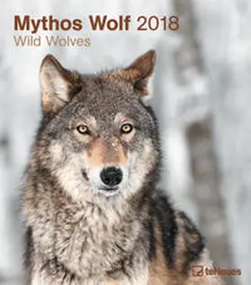 teNeues |  Mythos Wolf 2018 | Sonstiges |  Sack Fachmedien
