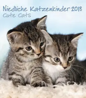 teNeues |  Niedliche Katzenkinder 2018 | Sonstiges |  Sack Fachmedien