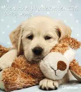 teNeues |  Niedliche Hundekinder 2018 | Sonstiges |  Sack Fachmedien