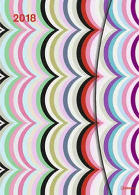 teNeues |  Kapitza 2018 Magneto Diary large | Sonstiges |  Sack Fachmedien