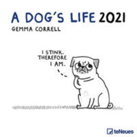  A Dog's Life 2021 Broschürenkalender | Sonstiges |  Sack Fachmedien