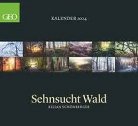 Gruner+Jahr GmbH |  GEO Kalender: Sehnsucht Wald Posterkalender 2024, im Format 60 x 55 cm, Monatskalender, Naturkalender mit fastzinierenden Waldaufnahmen | Sonstiges |  Sack Fachmedien