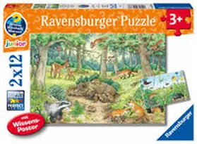 Ravensburger Kinderpuzzle - 05673 Tiere im Wald und auf der Wiese - 2x12 Teile + Wissensposter, Wieso? Weshalb? Warum? Puzzle für Kinder ab 3 Jahren | Sonstiges |  Sack Fachmedien