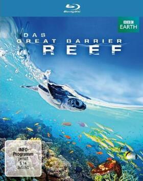 Brickell | Das Great Barrier Reef - Naturwunder der Superlative | Sonstiges | 400-644836111-2 | sack.de