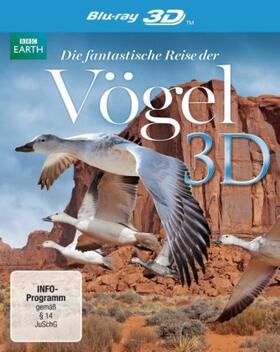  Die fantastische Reise der Vögel 3D | Sonstiges |  Sack Fachmedien