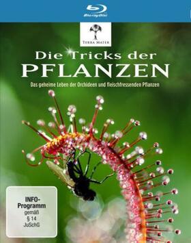 Nicholls |  Die Tricks der Pflanzen | Sonstiges |  Sack Fachmedien