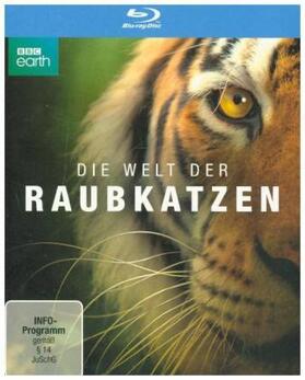  Die Welt der Raubkatzen | Sonstiges |  Sack Fachmedien
