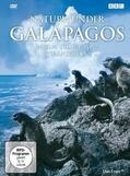Willumsen |  Naturwunder Galapagos - Inseln, die die Welt veränderten | Sonstiges |  Sack Fachmedien