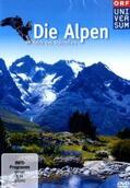 Feichtenberger / Köhler / Mészéros |  Die Alpen - Im Reich des Steinadlers | Sonstiges |  Sack Fachmedien