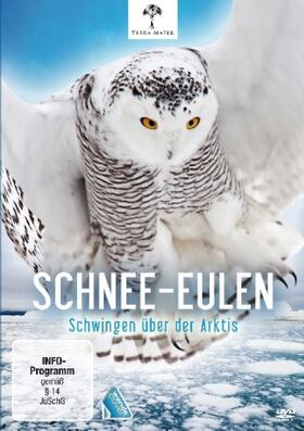 Hobson |  Schnee-Eulen - Schwingen über der Arktis | Sonstiges |  Sack Fachmedien
