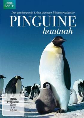  Pinguine Hautnah | Sonstiges |  Sack Fachmedien