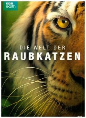  Die Welt der Raubkatzen | Sonstiges |  Sack Fachmedien