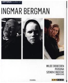 Bergman |  Ingmar Bergman | Sonstiges |  Sack Fachmedien
