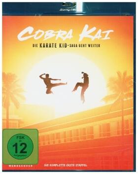 Belleville / Harman / Heald |  Cobra Kai | Sonstiges |  Sack Fachmedien