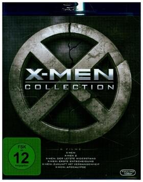 Hayter / Desanto / Harris |  X-Men | Sonstiges |  Sack Fachmedien