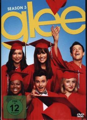 Brennan / Falchuk / Murphy |  Glee | Sonstiges |  Sack Fachmedien