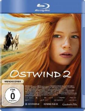 Schmidbauer |  Ostwind 2 | Sonstiges |  Sack Fachmedien
