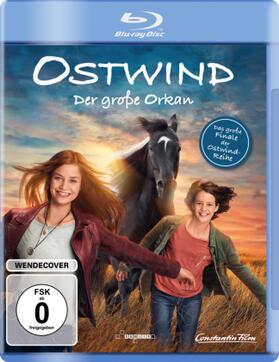 Schmidbauer |  Ostwind - Der große Orkan | Sonstiges |  Sack Fachmedien