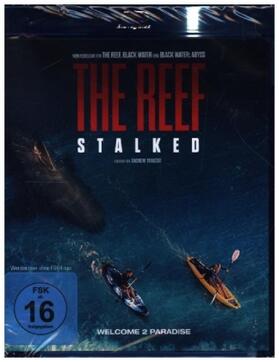 Traucki | The Reef: Stalked | Sonstiges | 401-354913768-3 | sack.de