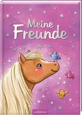  Meine Freunde - Zauberponys | Buch |  Sack Fachmedien