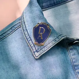 Sprinz |  DUNBRIDGE ACADEMY Pin | Sonstiges |  Sack Fachmedien