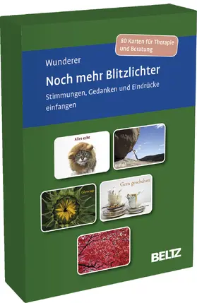 Wunderer |  Noch mehr Blitzlichter. Stimmungen, Gedanken und Eindrücke einfangen | Buch |  Sack Fachmedien
