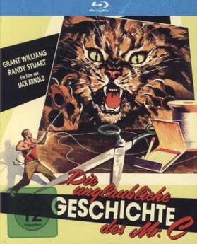 Matheson / Simmons |  Die Unglaubliche Geschichte des Mr. C | Sonstiges |  Sack Fachmedien
