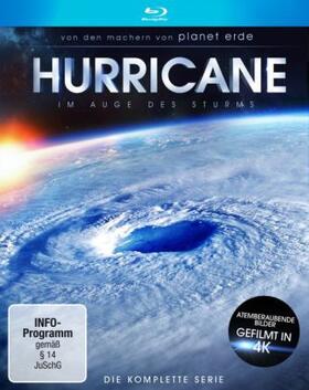Hurricane - Im Auge des Sturms | Sonstiges | 402-062886870-3 | sack.de