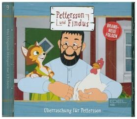  Folge 9:Überraschung für Pettersson | Sonstiges |  Sack Fachmedien