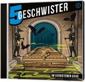 Schuffenhauer / Schier |  Im verbotenen Grab - Folge 12 | Sonstiges |  Sack Fachmedien