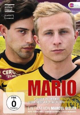 Hess / Gisler / Moriette |  Mario | Sonstiges |  Sack Fachmedien