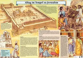 Schwegler / Bühlmann |  Alltag im Tempel zu Jerusalem | Sonstiges |  Sack Fachmedien