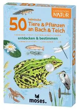 von Kessel / Müller |  50 heimische Tiere & Pflanzen an Bach & Teich | Sonstiges |  Sack Fachmedien