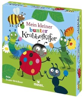 Dreier-Brückner |  Mein kleiner bunter Krabbelkäfer | Sonstiges |  Sack Fachmedien