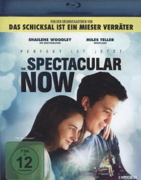 Neustadter / Weber |  The Spectacular Now - Im Hier und Jetzt | Sonstiges |  Sack Fachmedien