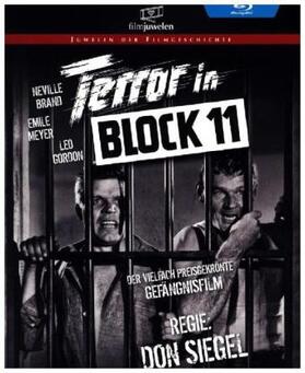 Collins |  Terror in Block 11 | Sonstiges |  Sack Fachmedien