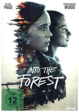 Rozema | Into the Forest | Sonstiges | 404-256417332-1 | sack.de
