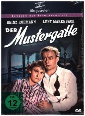 Hopwood / Geis / Albin |  Der Mustergatte | Sonstiges |  Sack Fachmedien