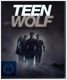 Davis / Harvey / Cochran |  Teen Wolf | Sonstiges |  Sack Fachmedien