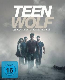 Davis / Harvey / Cochran |  Teen Wolf | Sonstiges |  Sack Fachmedien