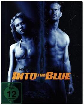 Johnson |  Into the Blue | Sonstiges |  Sack Fachmedien