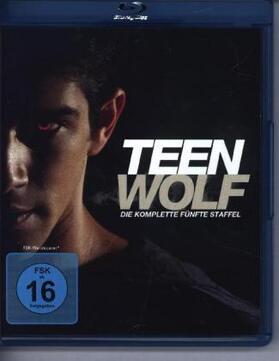Davis / Harvey / Cochran | Teen Wolf | Sonstiges | 404-256418649-9 | sack.de