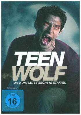 Davis / Harvey / Cochran |  Teen Wolf | Sonstiges |  Sack Fachmedien