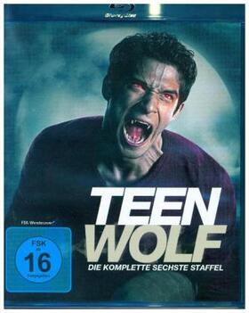 Davis / Harvey / Cochran | Teen Wolf | Sonstiges | 404-256418651-2 | sack.de