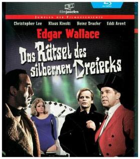 Towers / Wallace |  Das Rätsel des silbernen Dreiecks | Sonstiges |  Sack Fachmedien