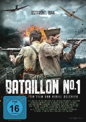 Kaluzhanov / Nazarova / Nikolaev |  Bataillon Nº 1 | Sonstiges |  Sack Fachmedien