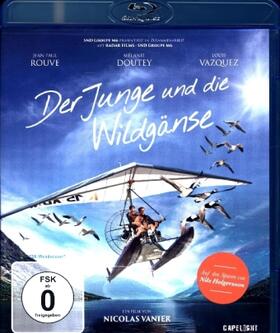 Fogli / Moullec / Petit |  Der Junge und die Wildgänse | Sonstiges |  Sack Fachmedien