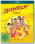 Berk / Schwartz / Braff |  Baywatch Hawaii | Sonstiges |  Sack Fachmedien